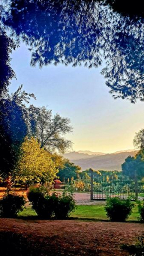 El Solar De Los Olivos